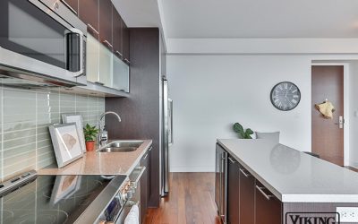 DIY vs. Pro Viking Repair in San Diego: What’s the Best Option?