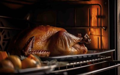 Viking Oven Repairs: Tips for Roasting the Perfect Thanksgiving Turkey