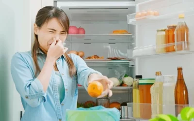 Easy DIY Viking Appliance Repair: Expert Tips